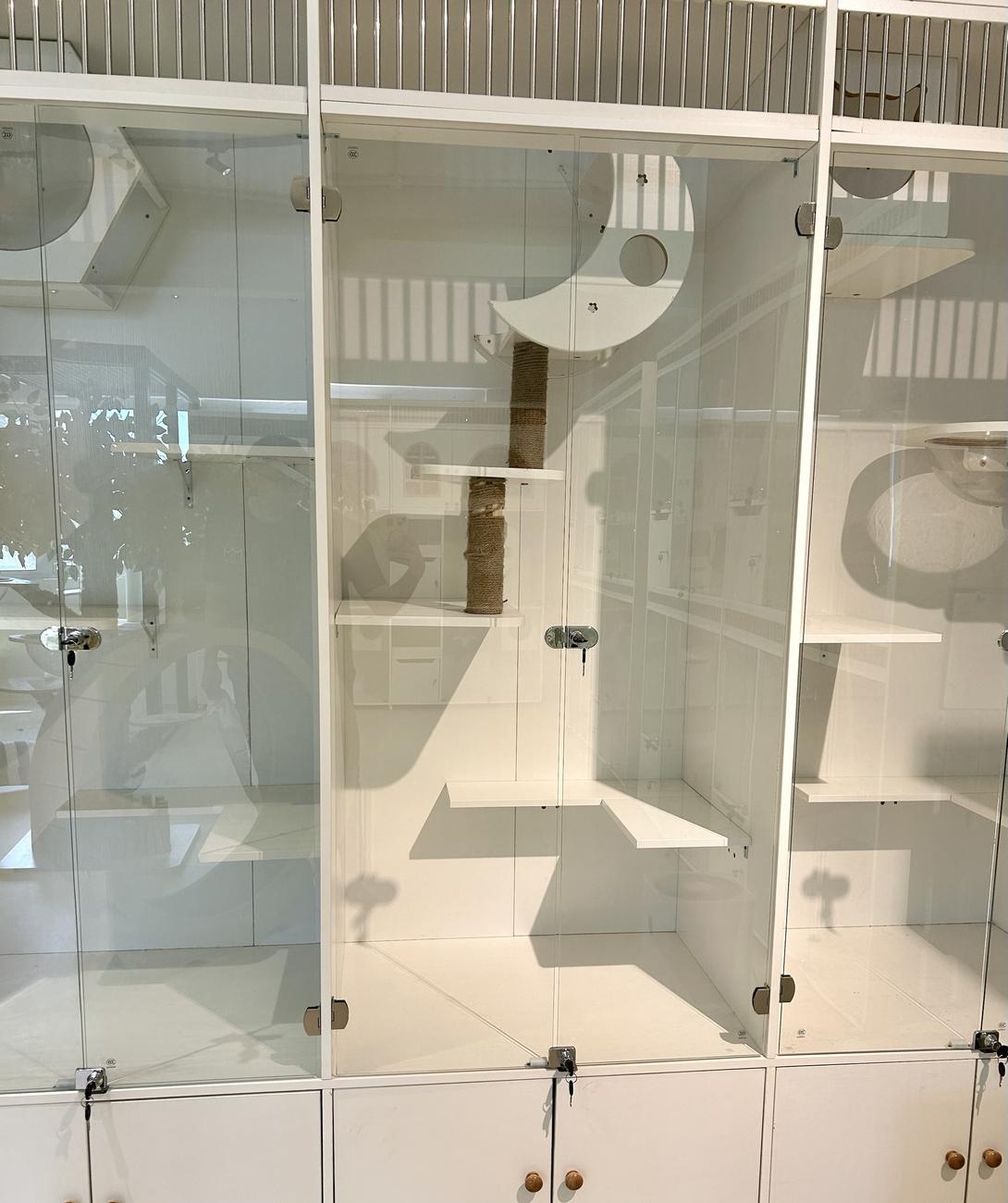 Loft Suites: tall glass rooms with climbing shelves and a crescent-moon perch